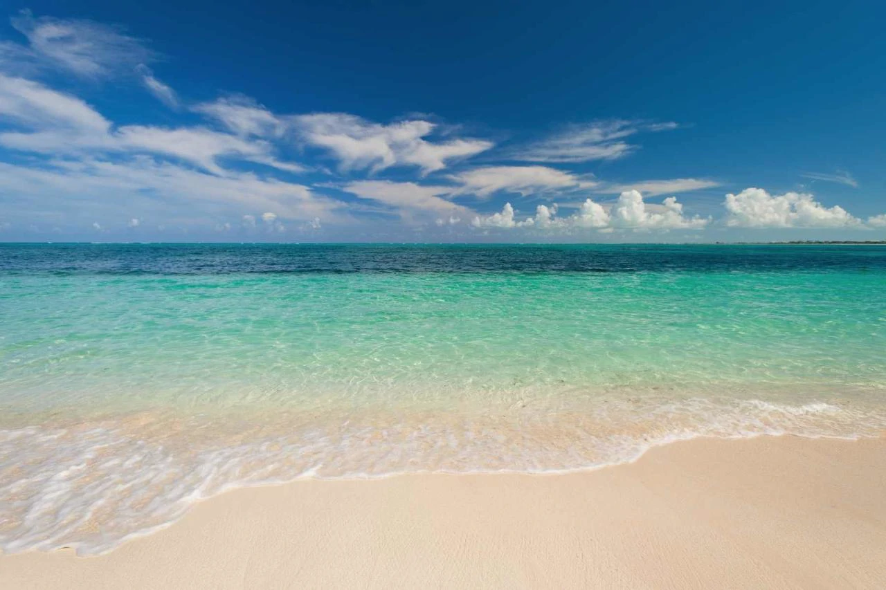 Reef Pearl - Gallery image 29