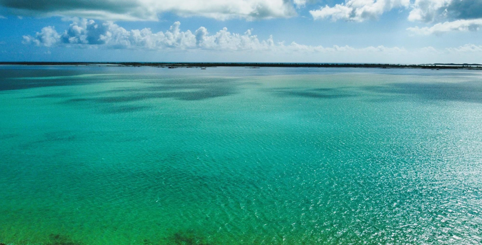 Tranquil Coastline of Bottle Creek - Gallery image 5