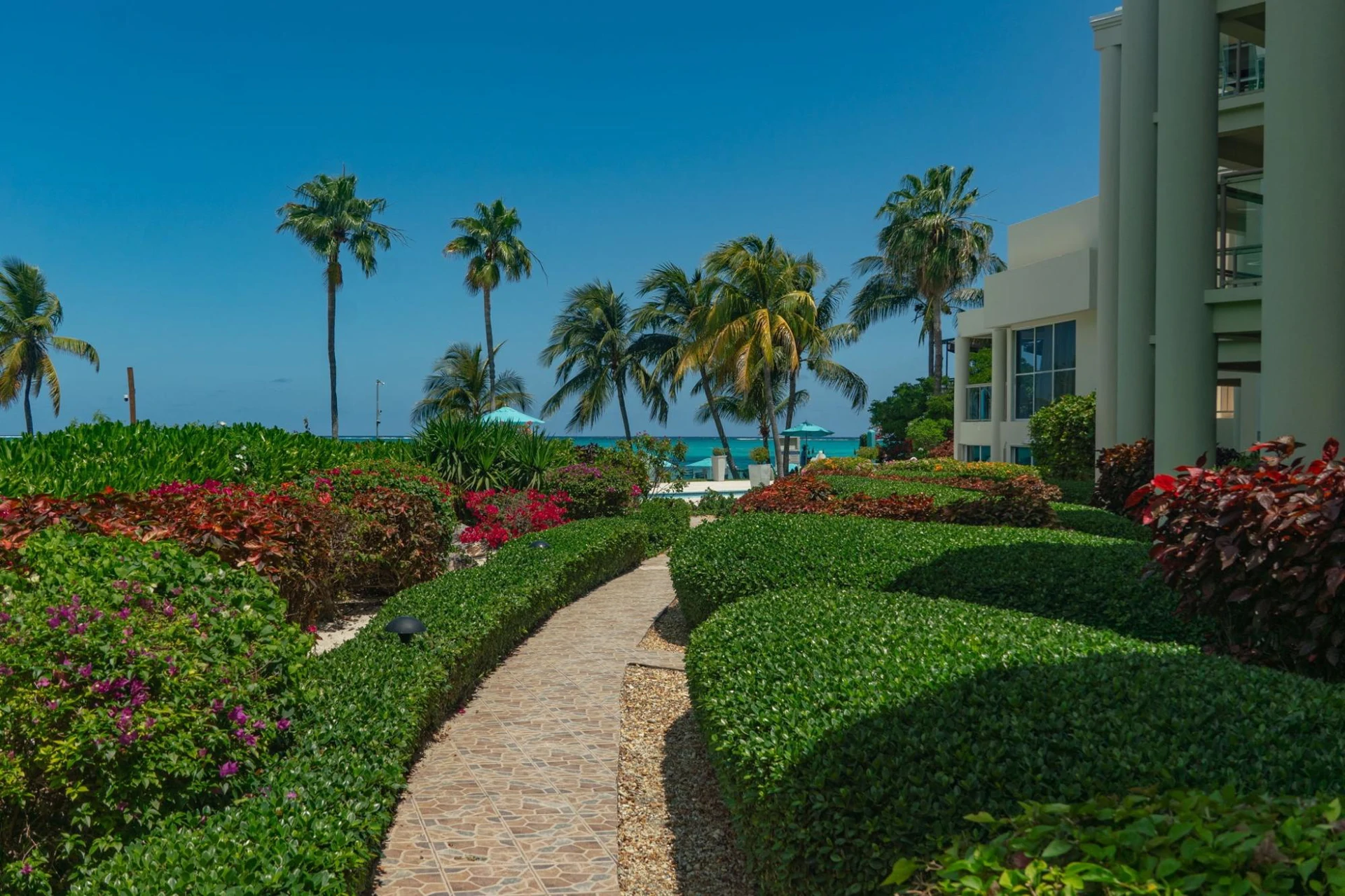 Coral Gardens On Gracebay - Gallery image 33