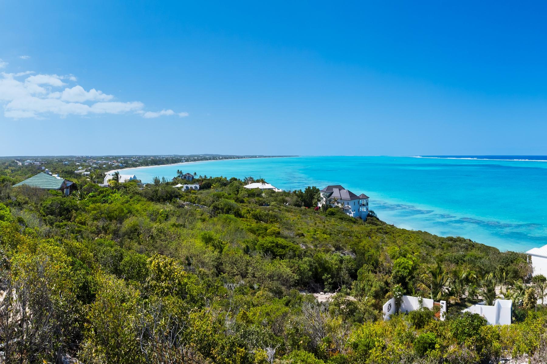 Villa 1 - The Summit - Blue Mountain Ocean View - Gallery image 4