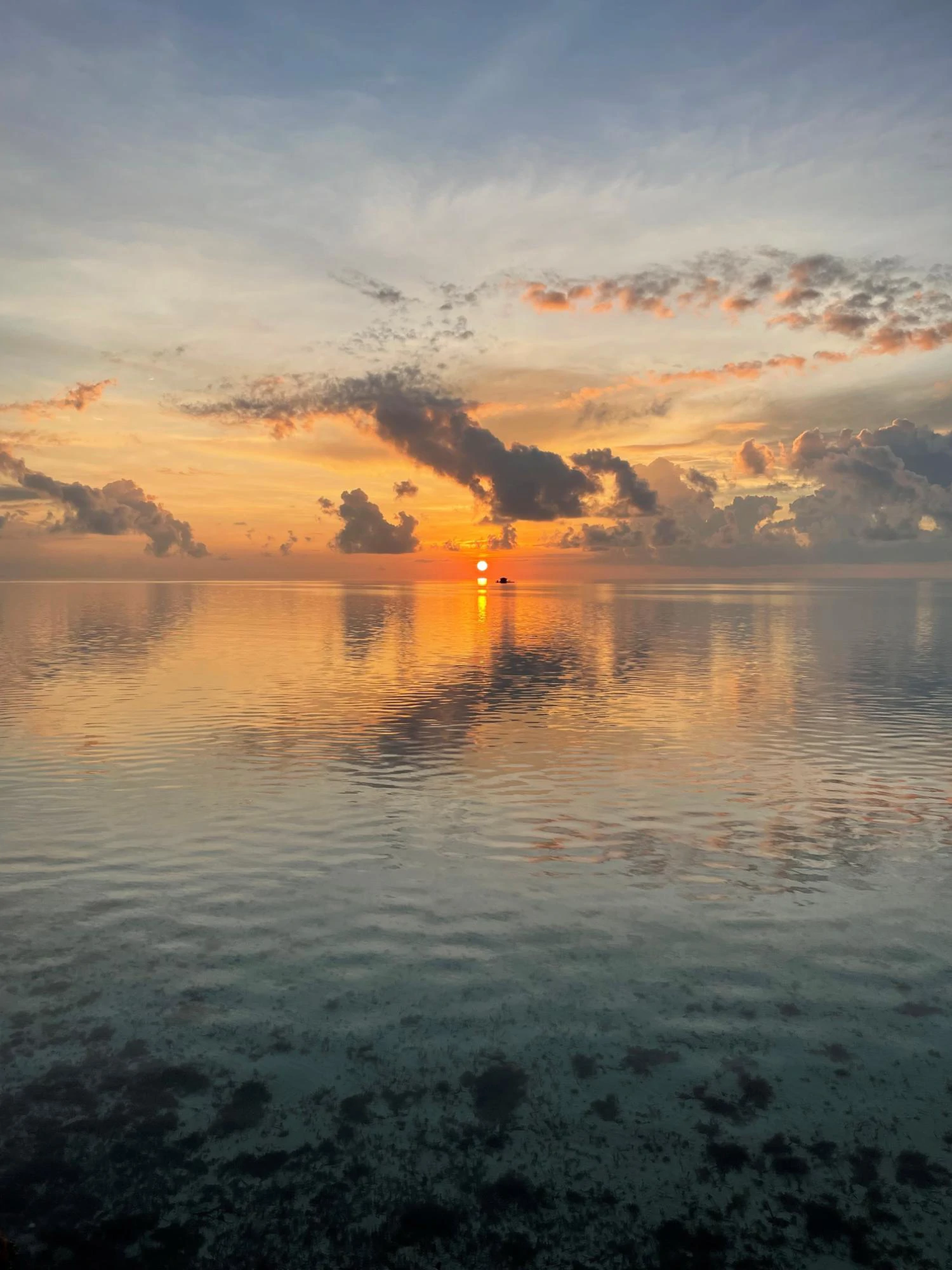 Leeside Ocean Front Villa - Gallery image 10