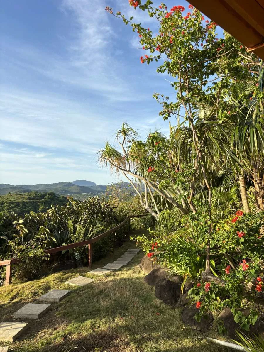 Morne Du Vent Estate, Cap Estate. - Gallery image 27