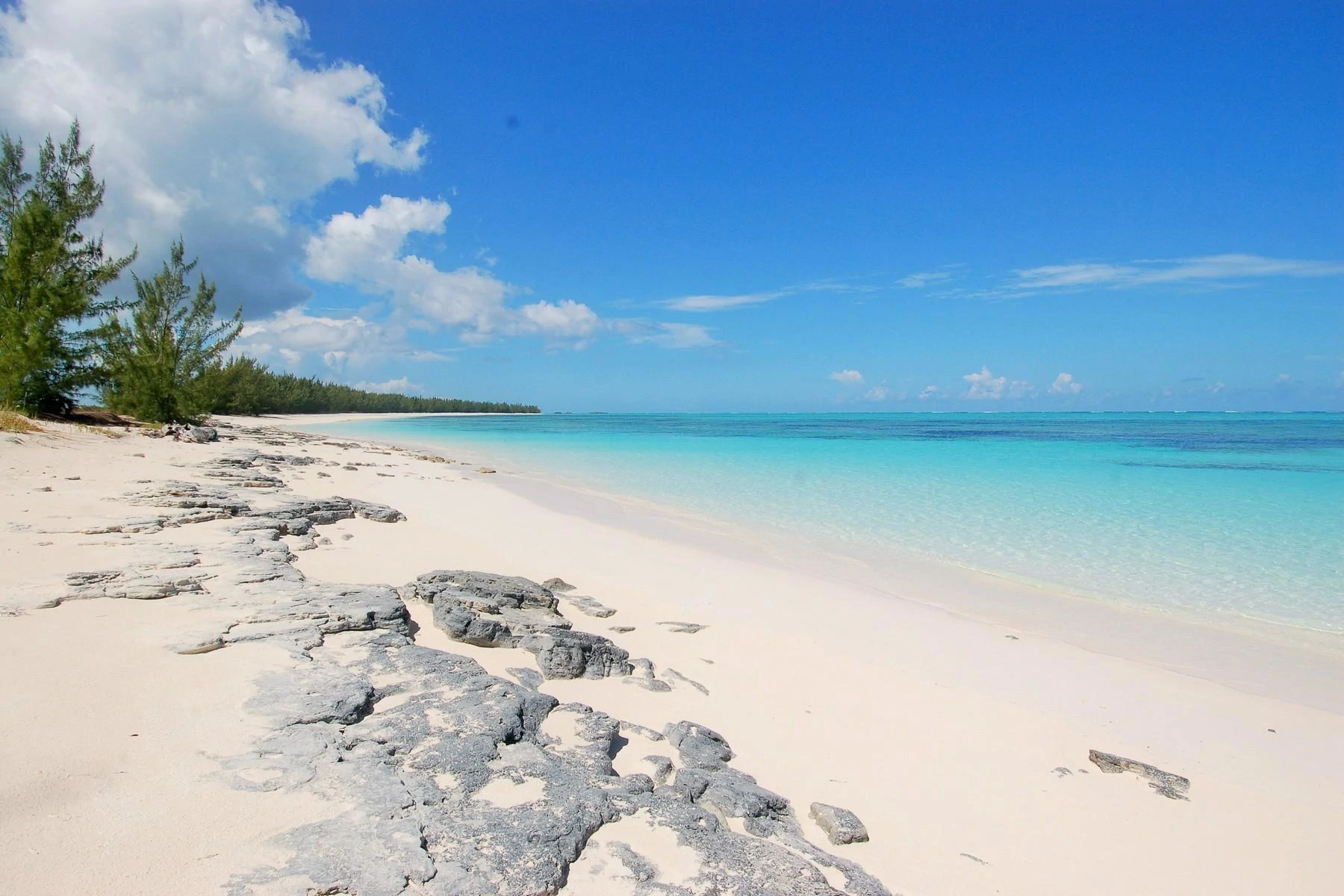 Grace on The Bay, Whitby Beachfront - Gallery image 6