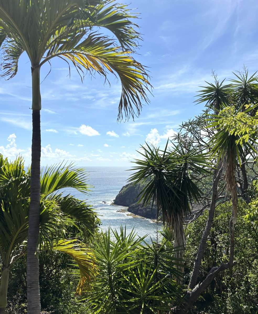 Morne Du Vent Estate, Cap Estate. - Gallery image 13