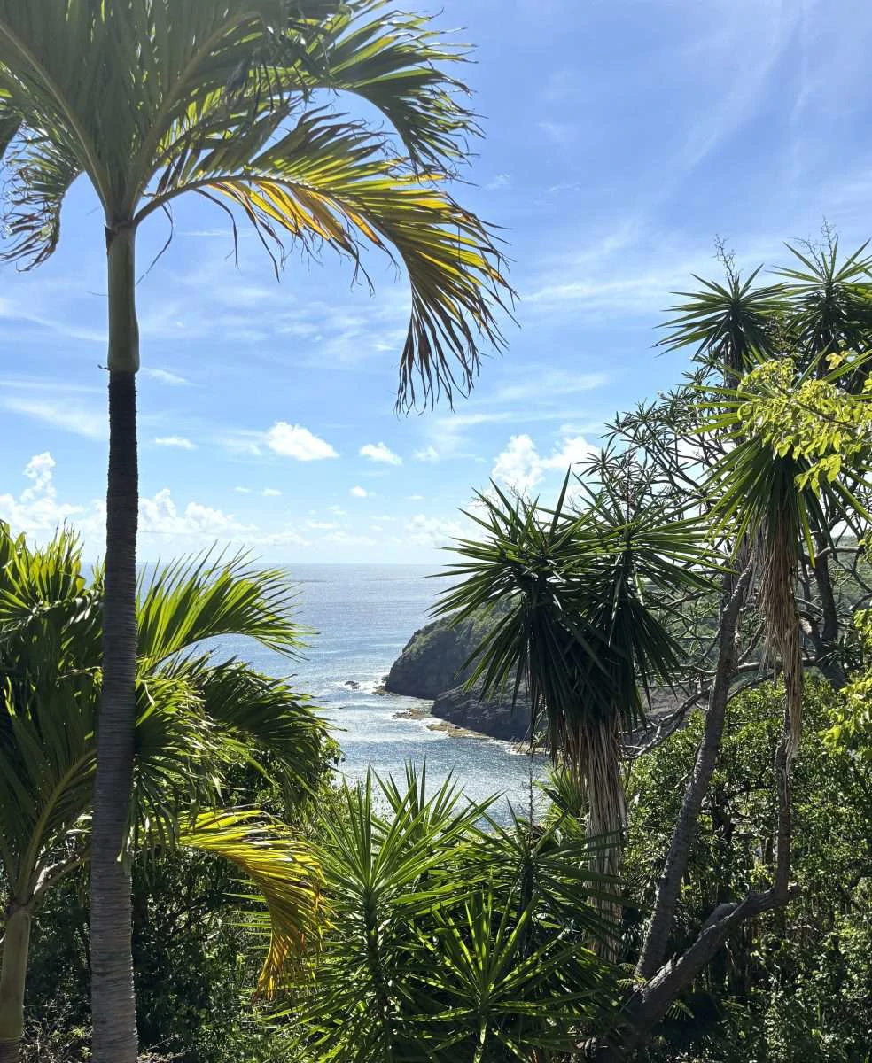 Morne Du Vent Estate, Cap Estate. - Gallery image 15