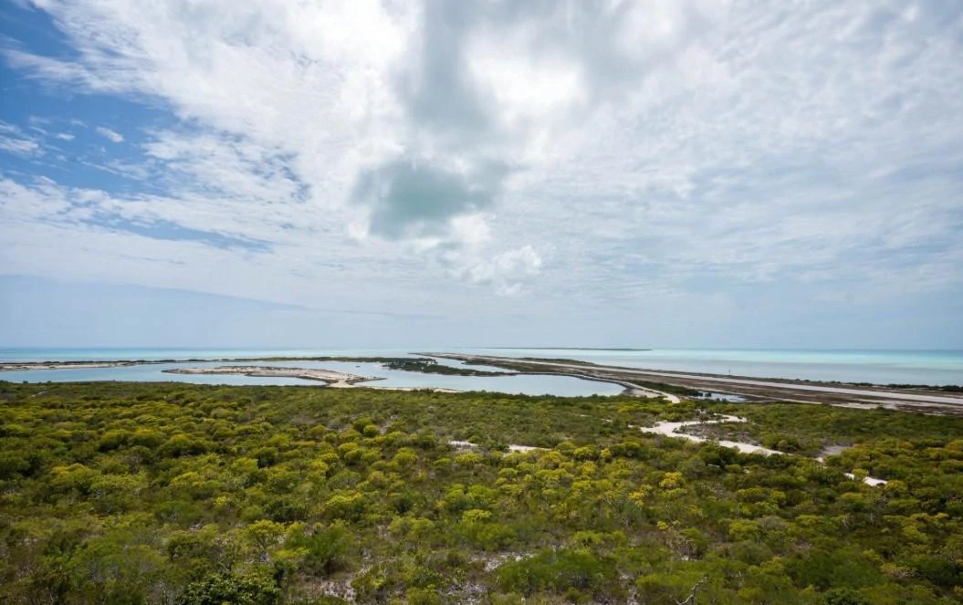 SEA BREEZE, AMBERGRIS CAY - Gallery image 10