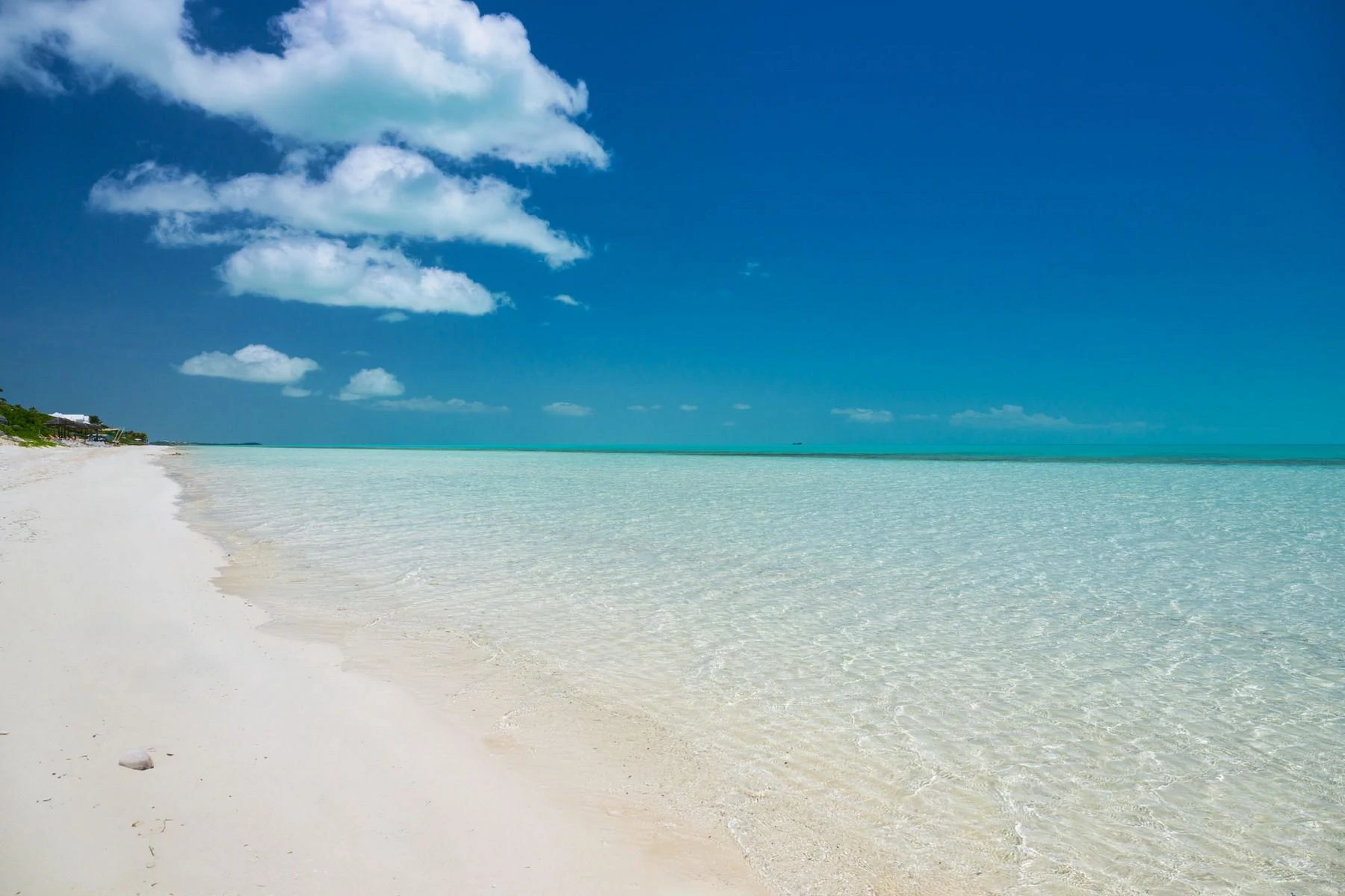 LA DOLCE VITA - Gallery image 6