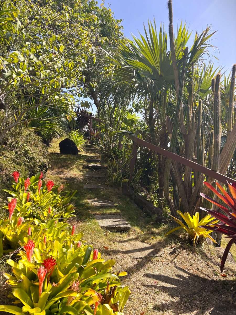 Morne Du Vent Estate, Cap Estate. - Gallery image 26