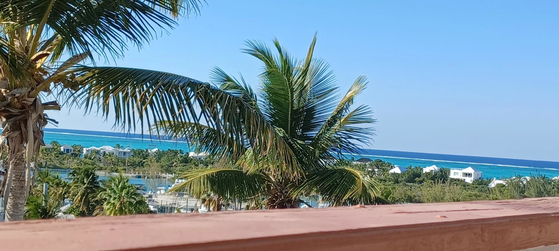 B304 Queen Angel - Gallery image 3