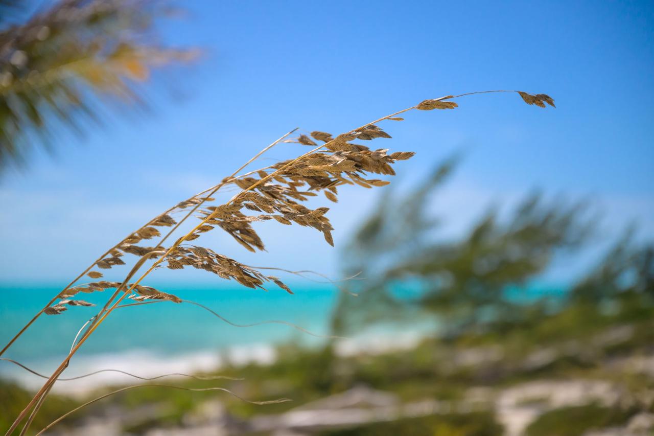 Kailoa Villa, Long Bay Beach - Gallery image 39