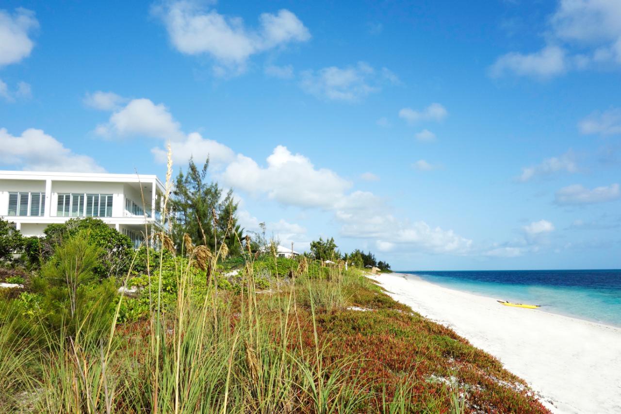 IMPULSE BEACH ESTATE - Gallery image 2