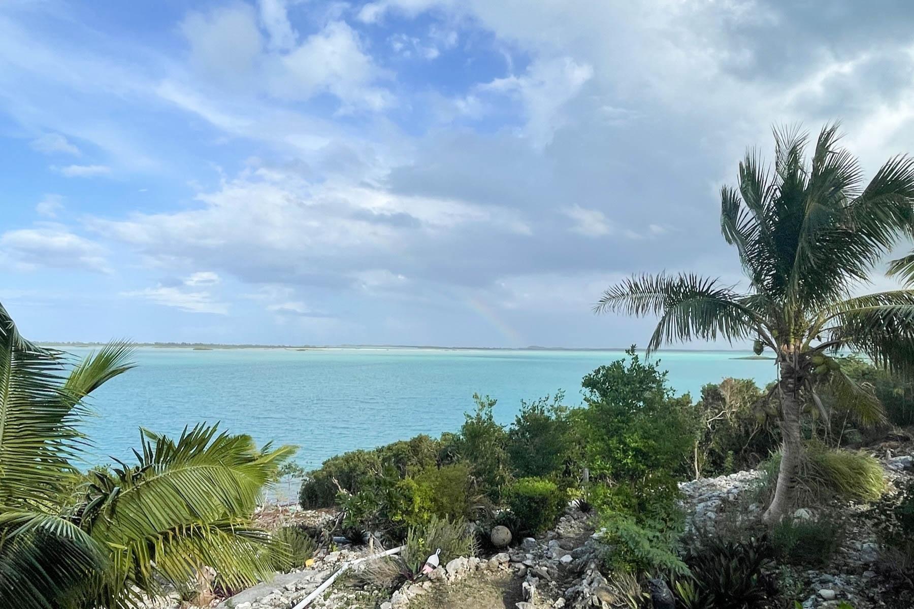 Rocky Top - Gallery image 16