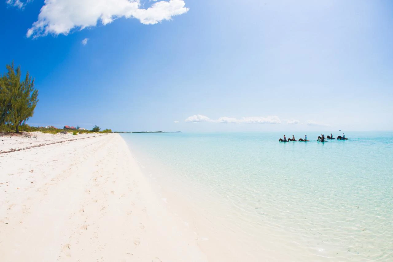 The Shore Club - Gallery image 39