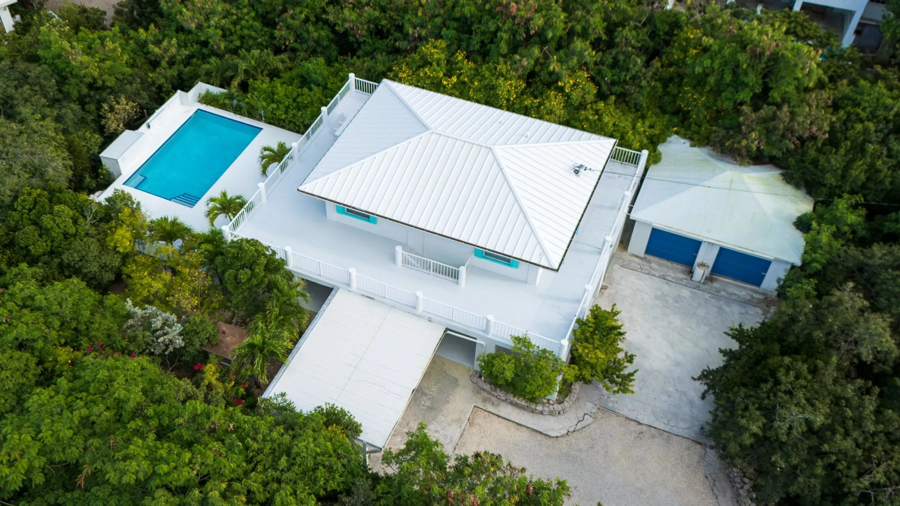 Blue Zepher - Gallery image 24