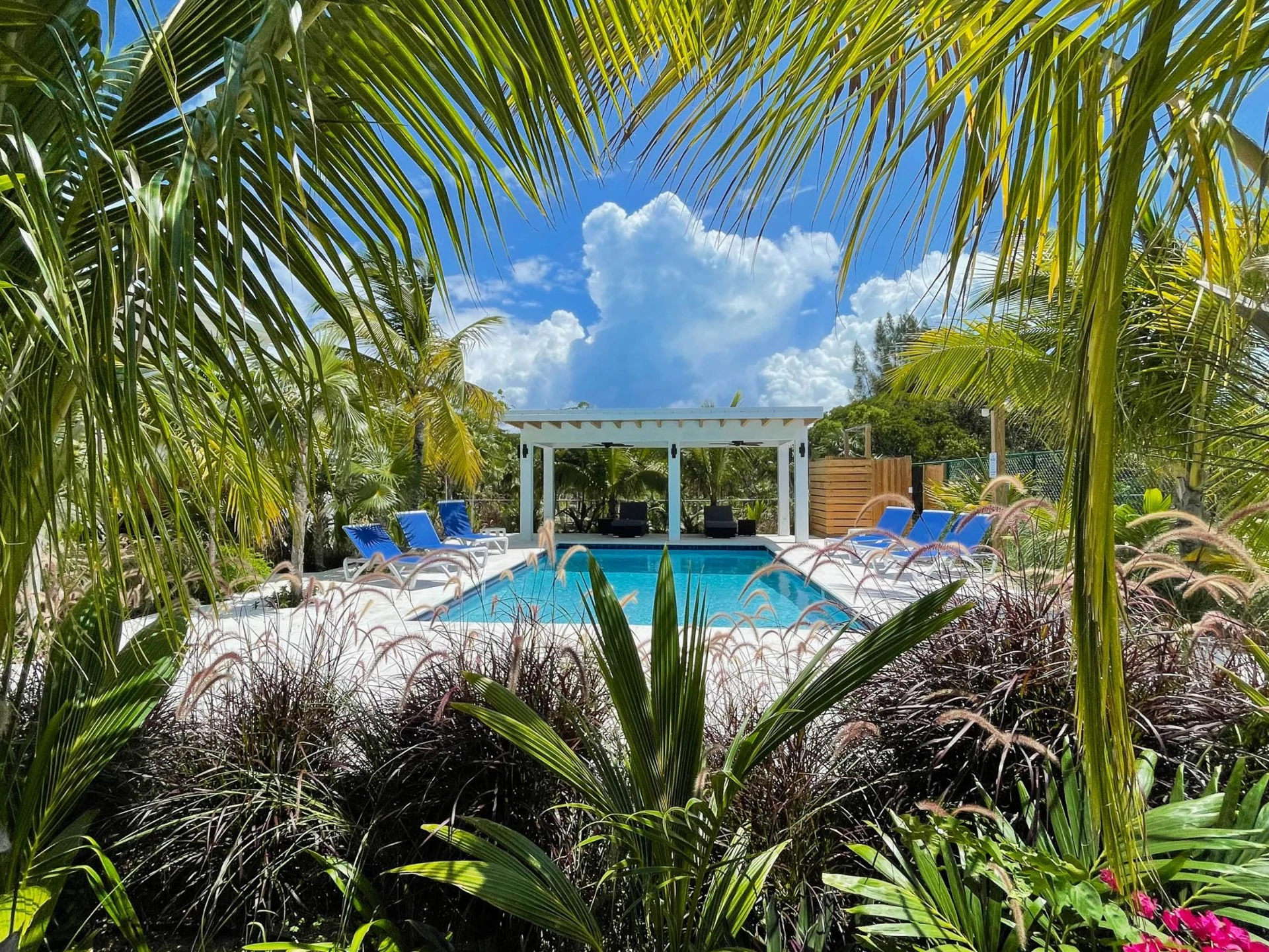 PALMETTO PLACE - Gallery image 16