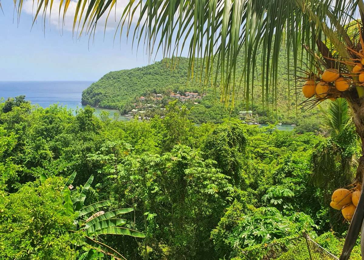 The Eye of Marigot, Marigot Bay - Gallery image 15