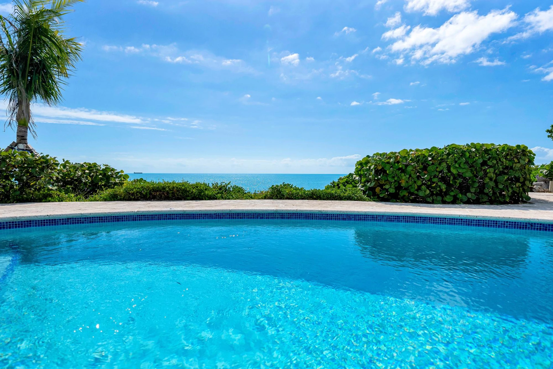 PARADISE POINTE - Gallery image 56