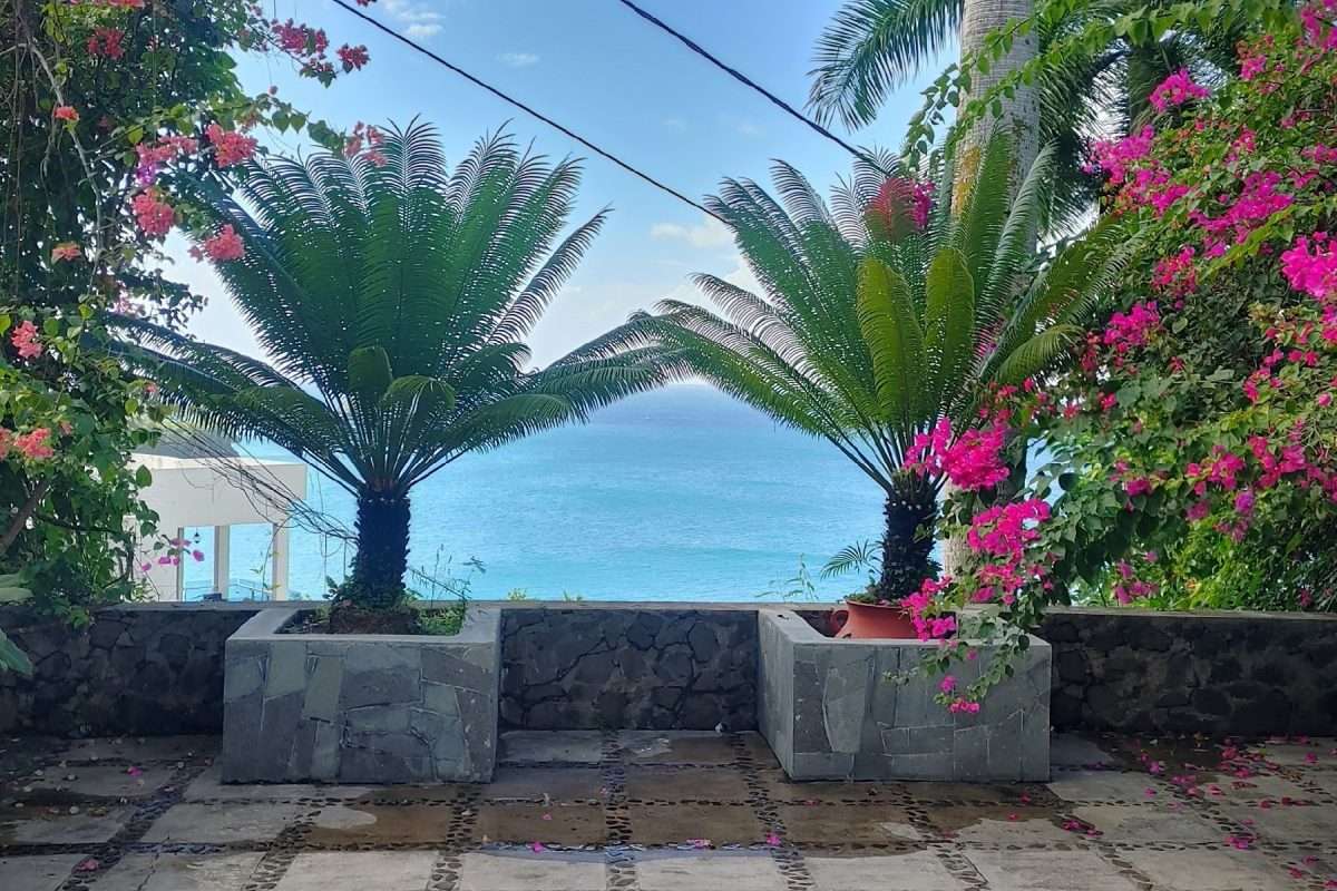 Butterfly House and Beach, La Toc, Castries. - Gallery image 4