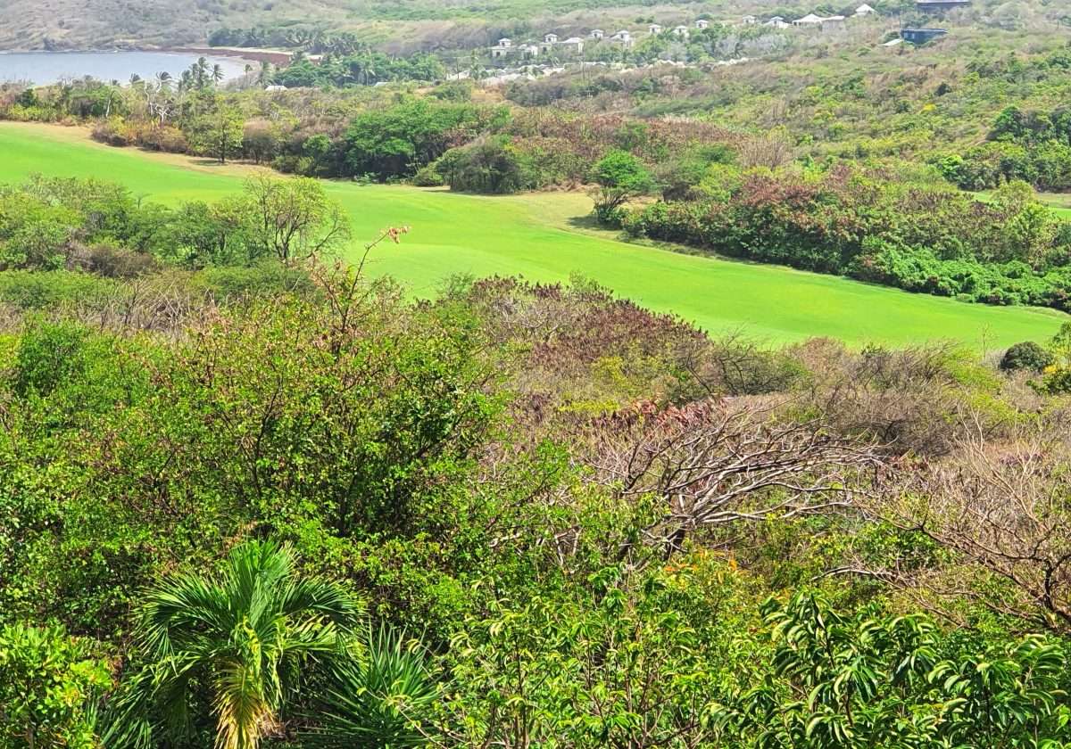 Sunset Haven Villa, Cap Estate - Gallery image 12