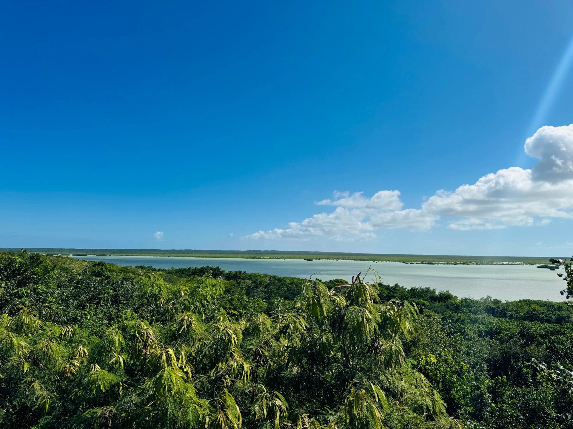 Marshalltown Cottage 2 - Gallery image 21