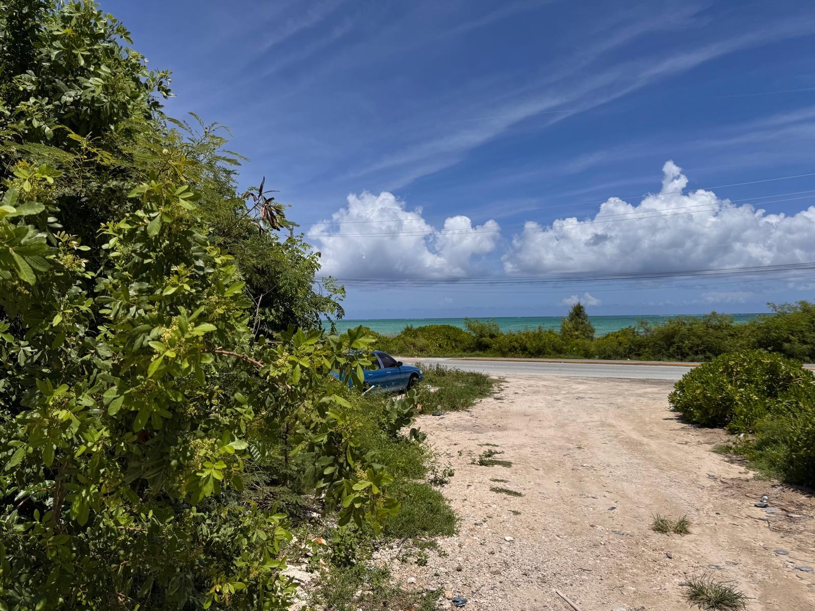 WScriven - Gallery image 8