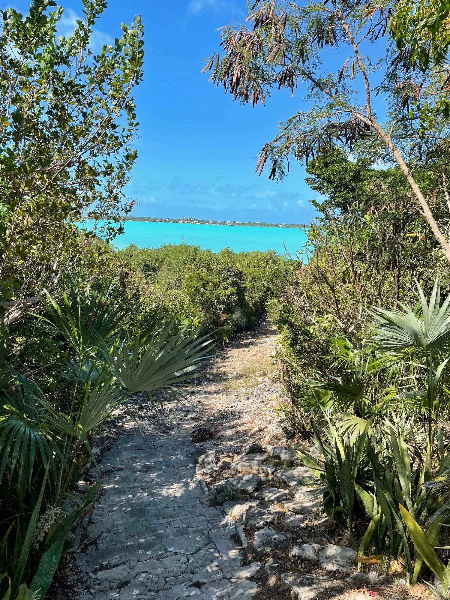 CHALK SOUND VIEWS - Gallery image 4