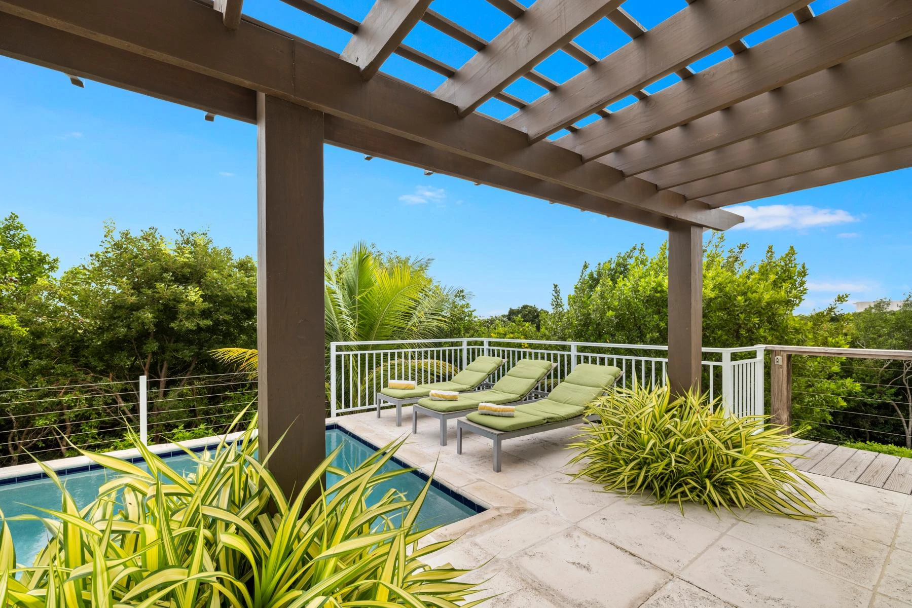 HAKUNA MATATA - Gallery image 15