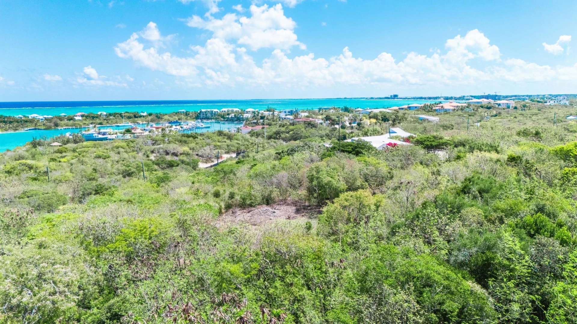 Marinawalk, Third Turtle Road - Gallery image 5