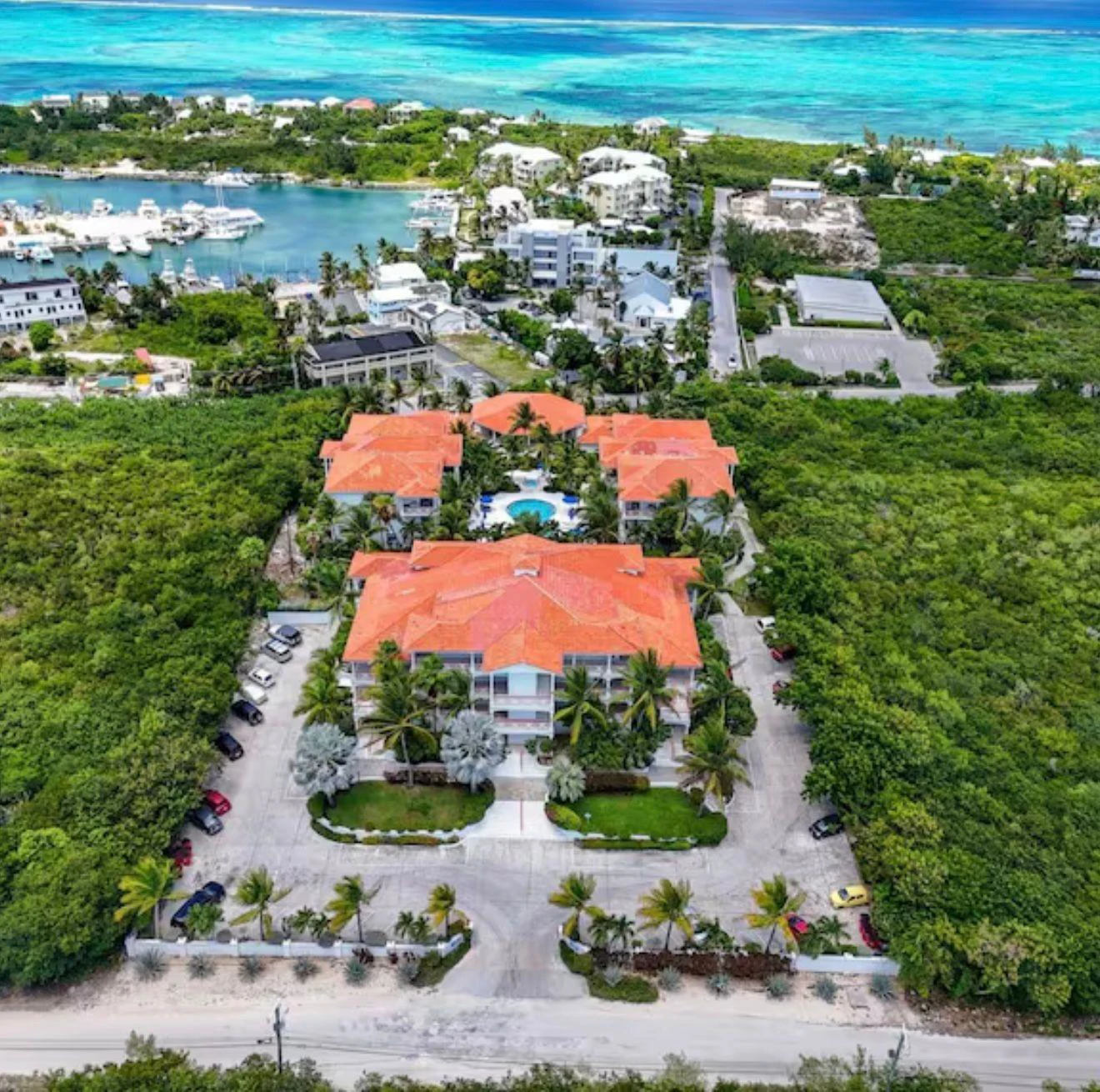 B304 Queen Angel - Gallery image 4