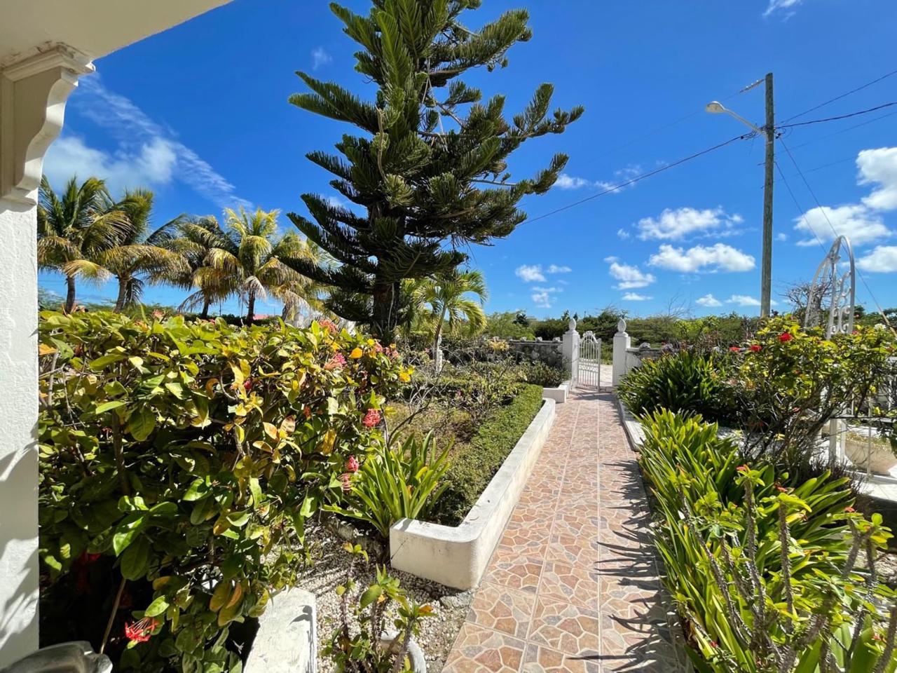 VILLA DE ROSA - Gallery image 15