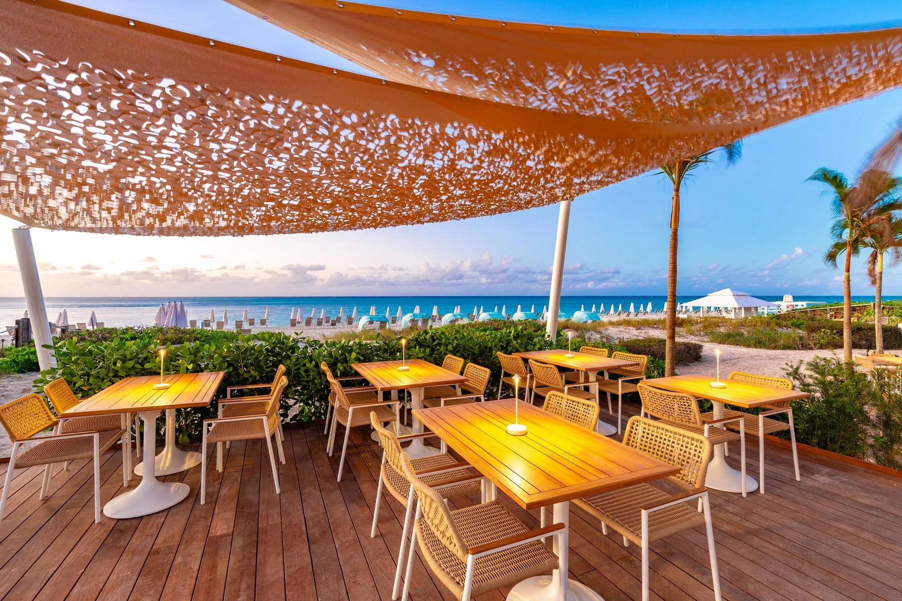 1304.1305 - The Palms - Gallery image 24