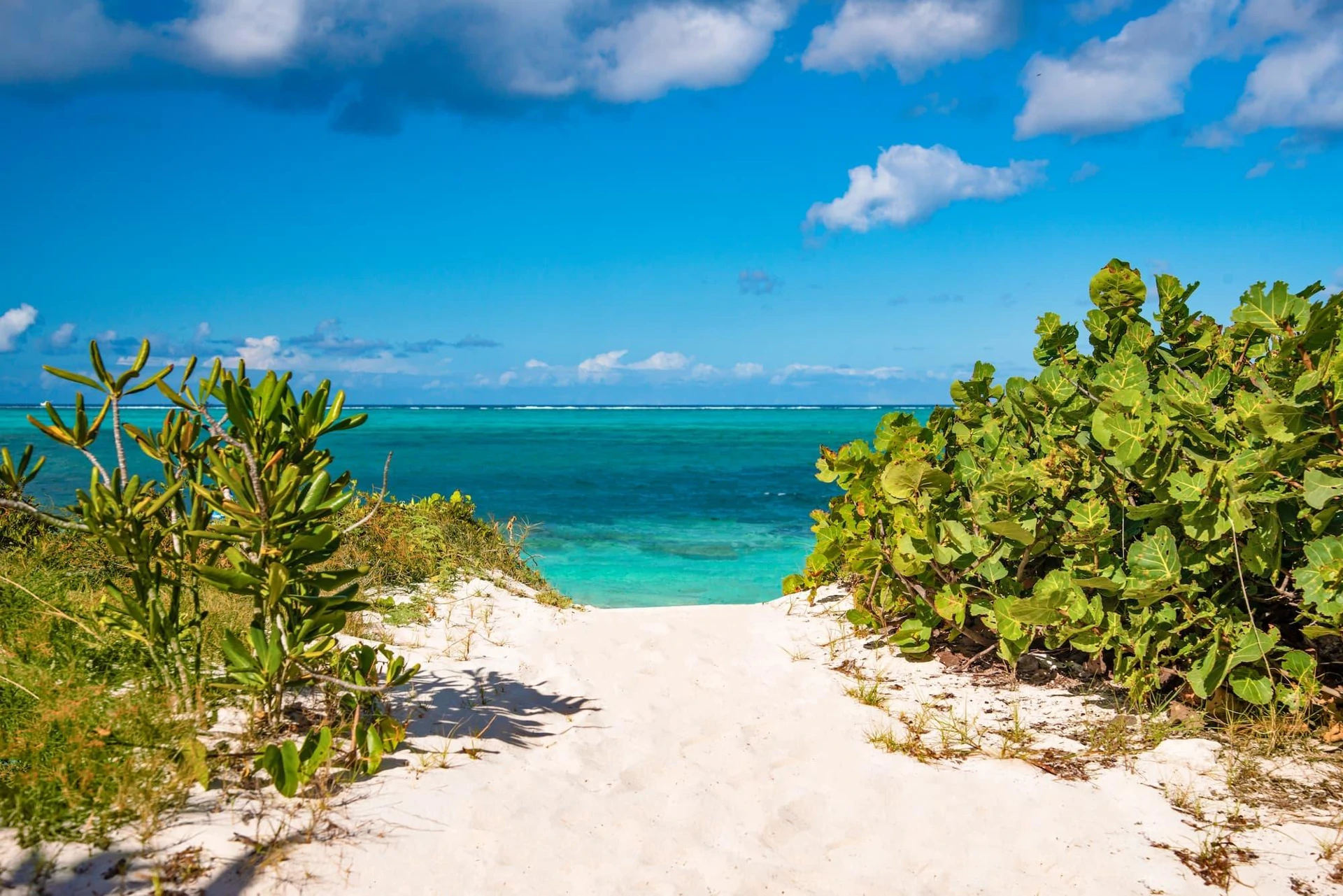 Coriander Cottage | Smith's Reef - Gallery image 16