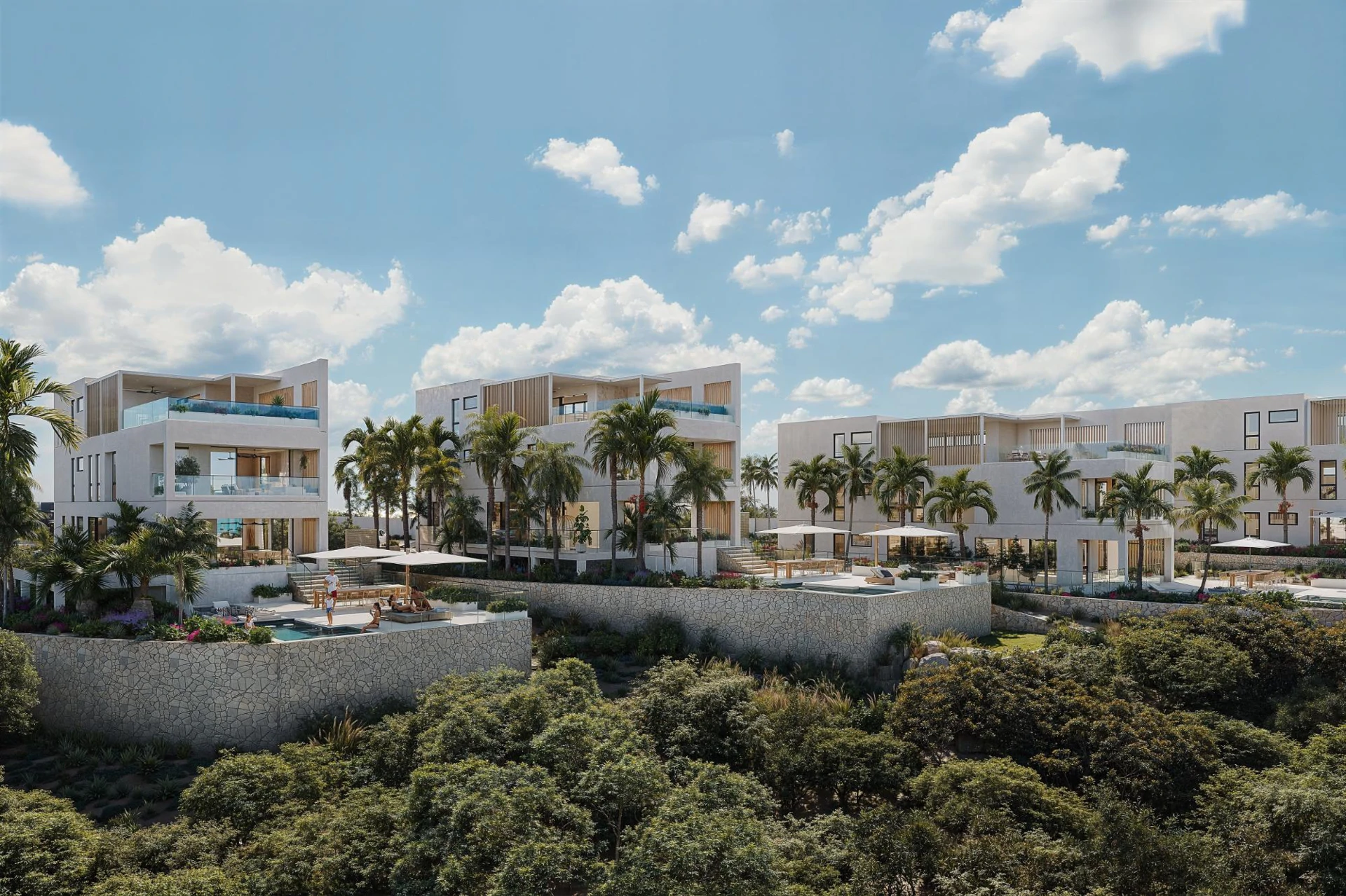 Callidora - Gallery image 8