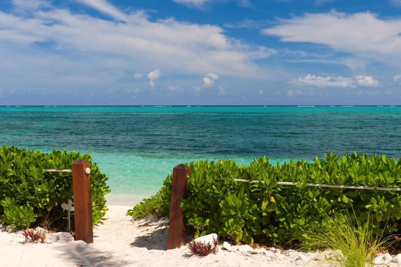 Reef Pearl - Gallery image 28