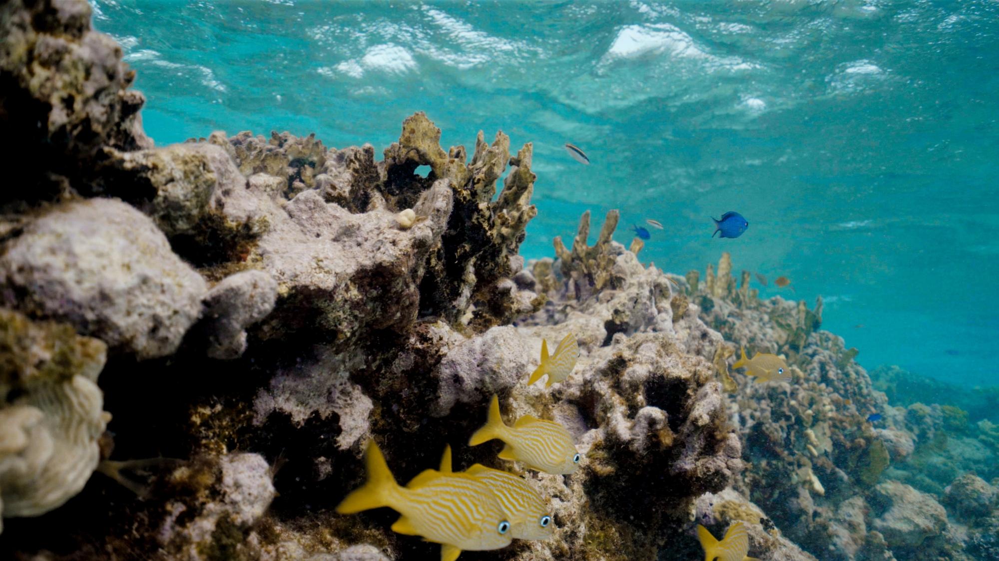 Spa Estate Villa - Sailrock Peninsula Estate - Gallery image 14