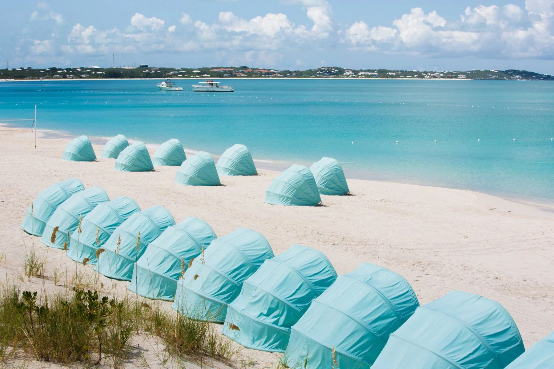 1304.1305 - The Palms - Gallery image 23