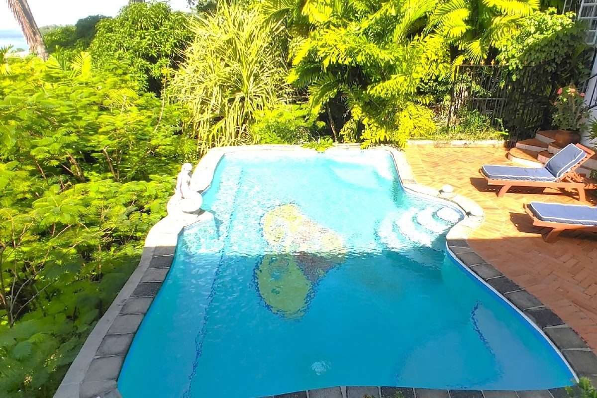 Butterfly House and Beach, La Toc, Castries. - Gallery image 17