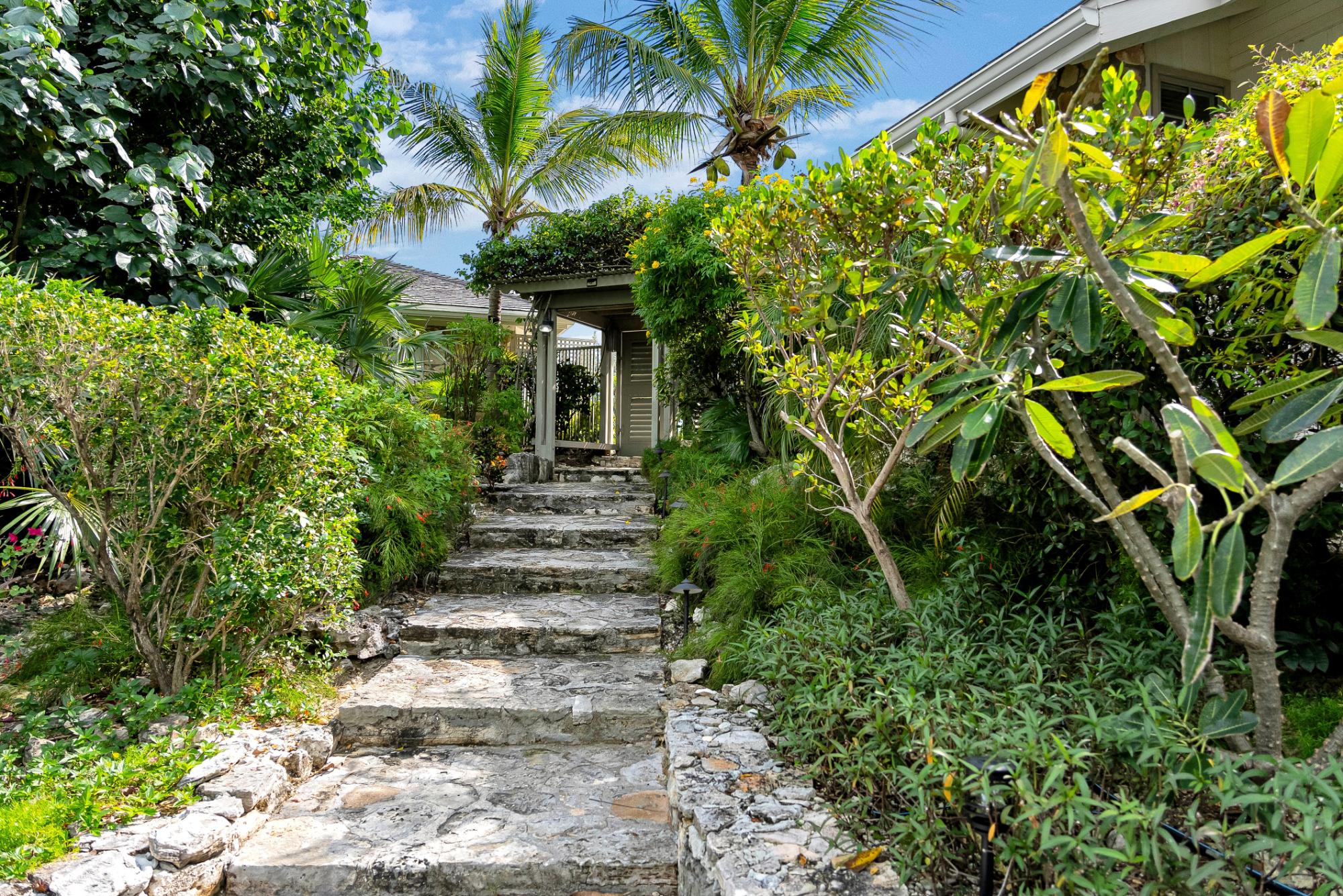 PARADISE POINTE - Gallery image 7