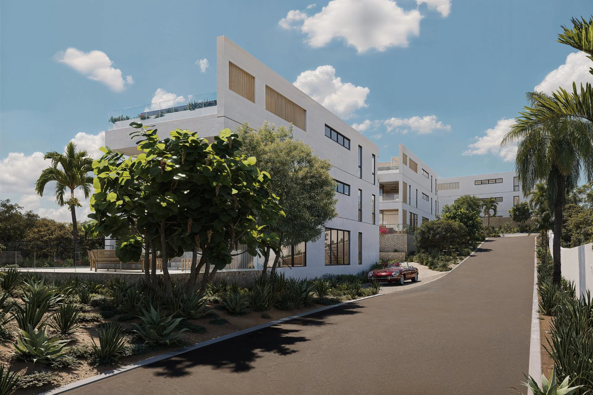 Callidora - Gallery image 10