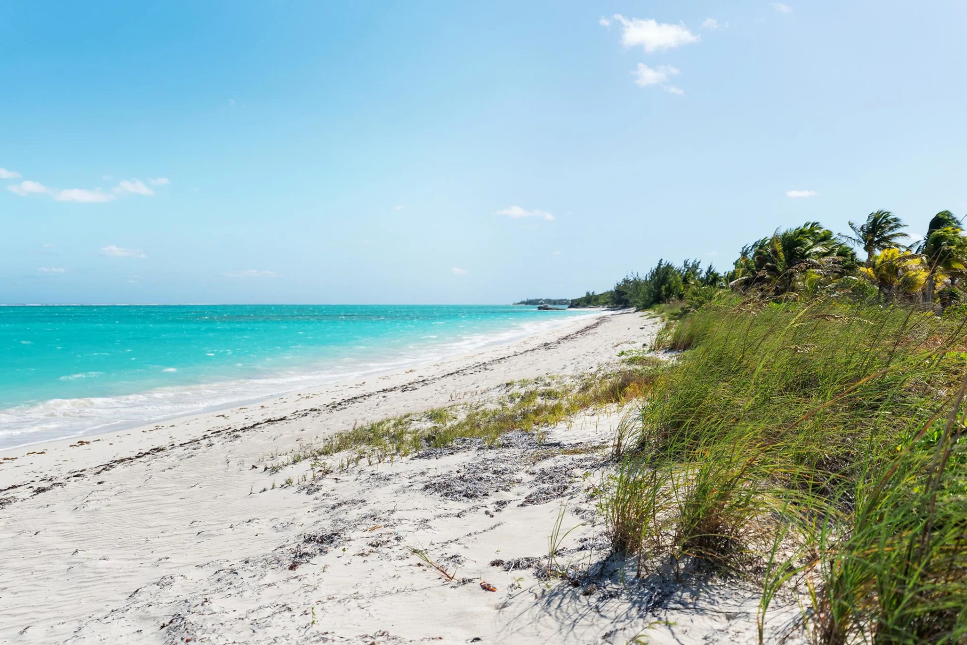 EAGLE'S NEST - Gallery image 16