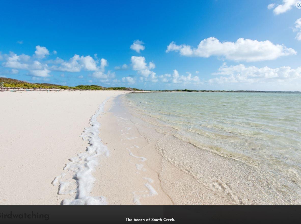 Salt Cay Starter - Gallery image 13