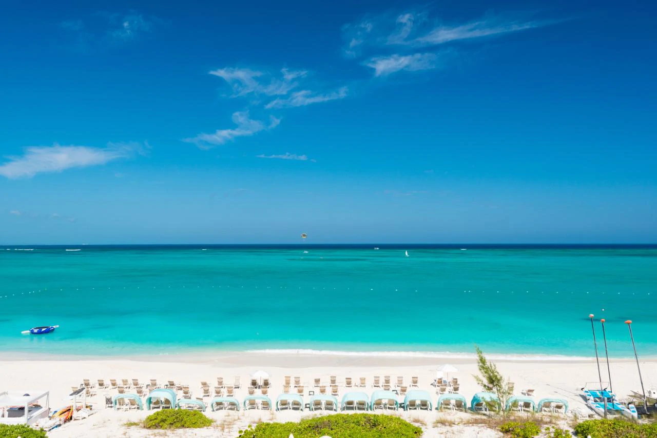 The Palms 1404.1405 - Gallery image 16