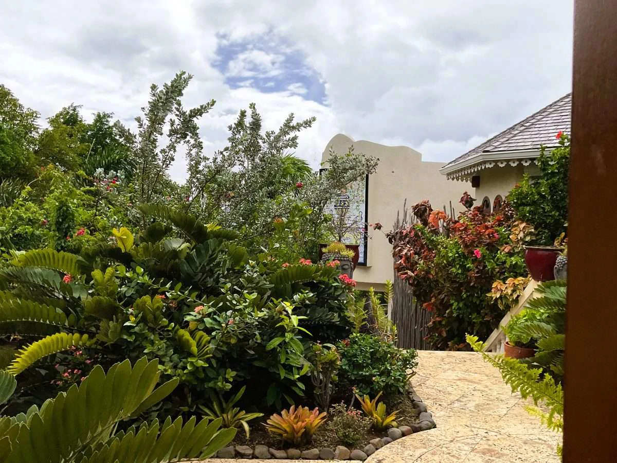 Villa Butterfly, Mount Du Cap. - Gallery image 4