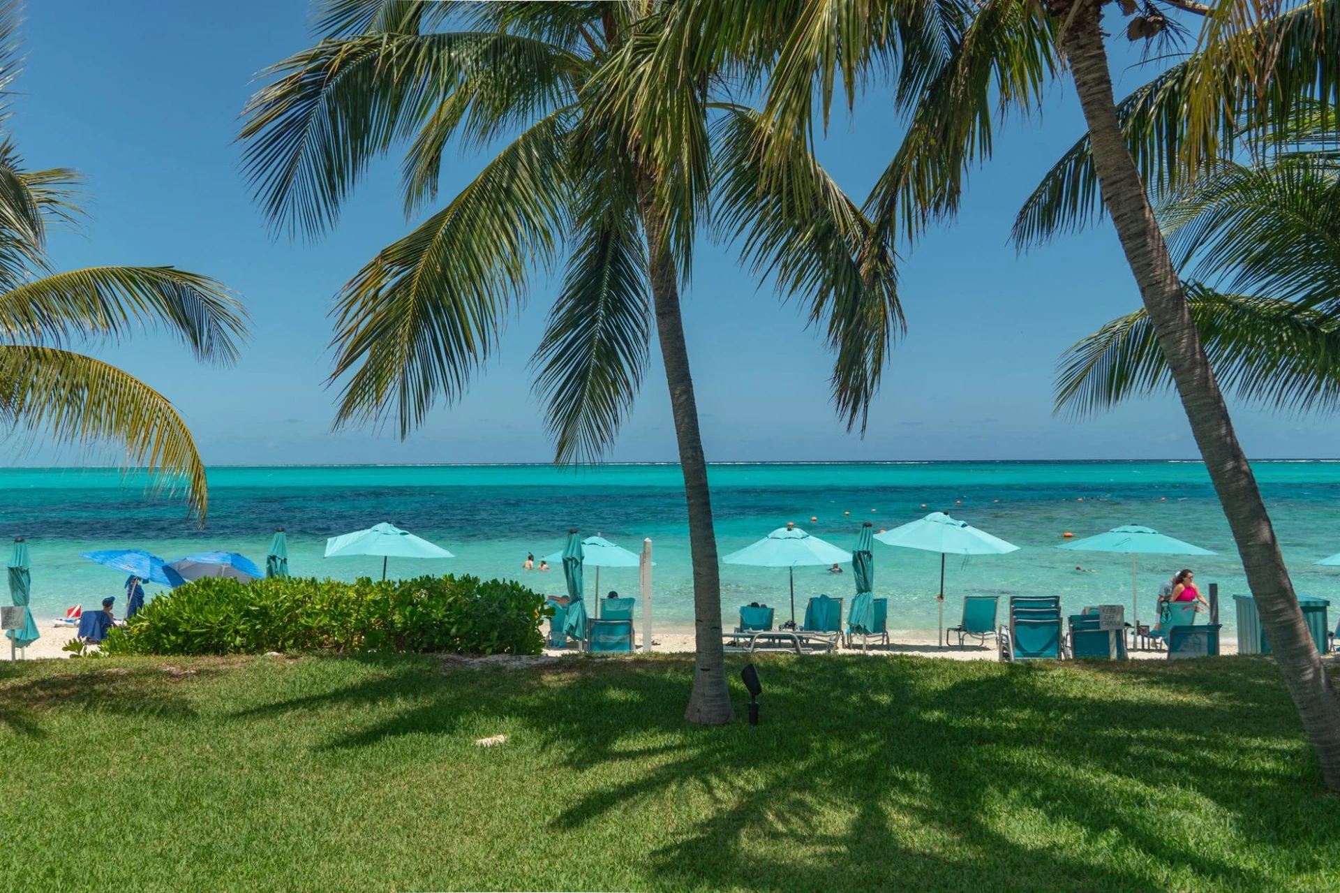 Coral Gardens On Gracebay - Gallery image 35