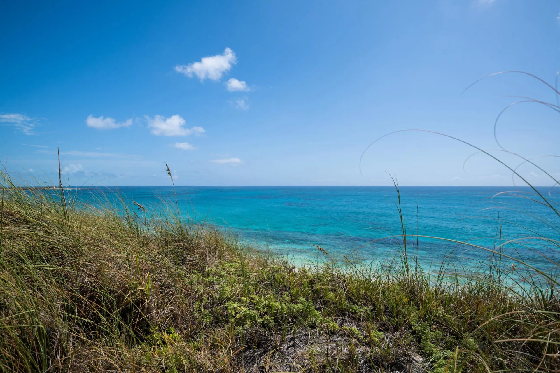 Adventure Cliff - Gallery image 13