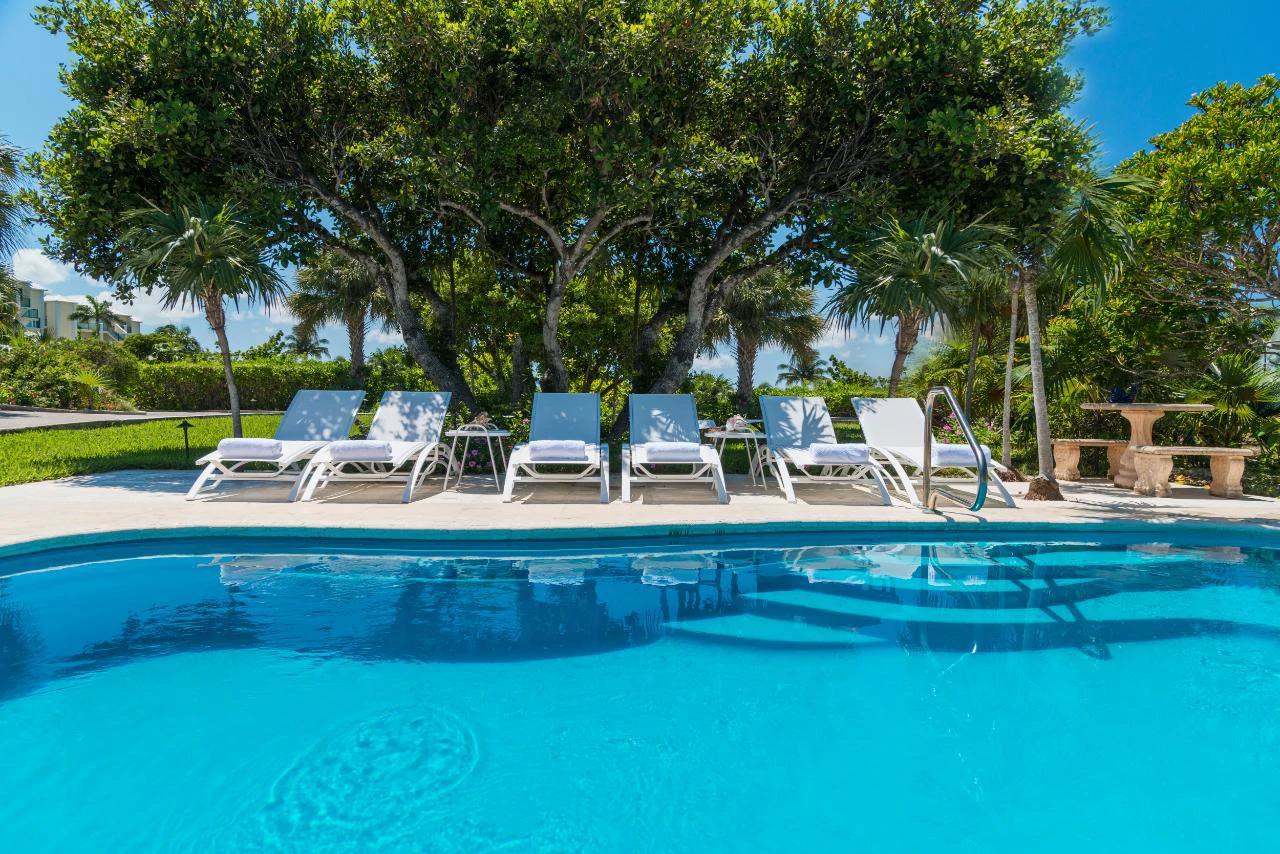 Reef Pearl - Gallery image 4