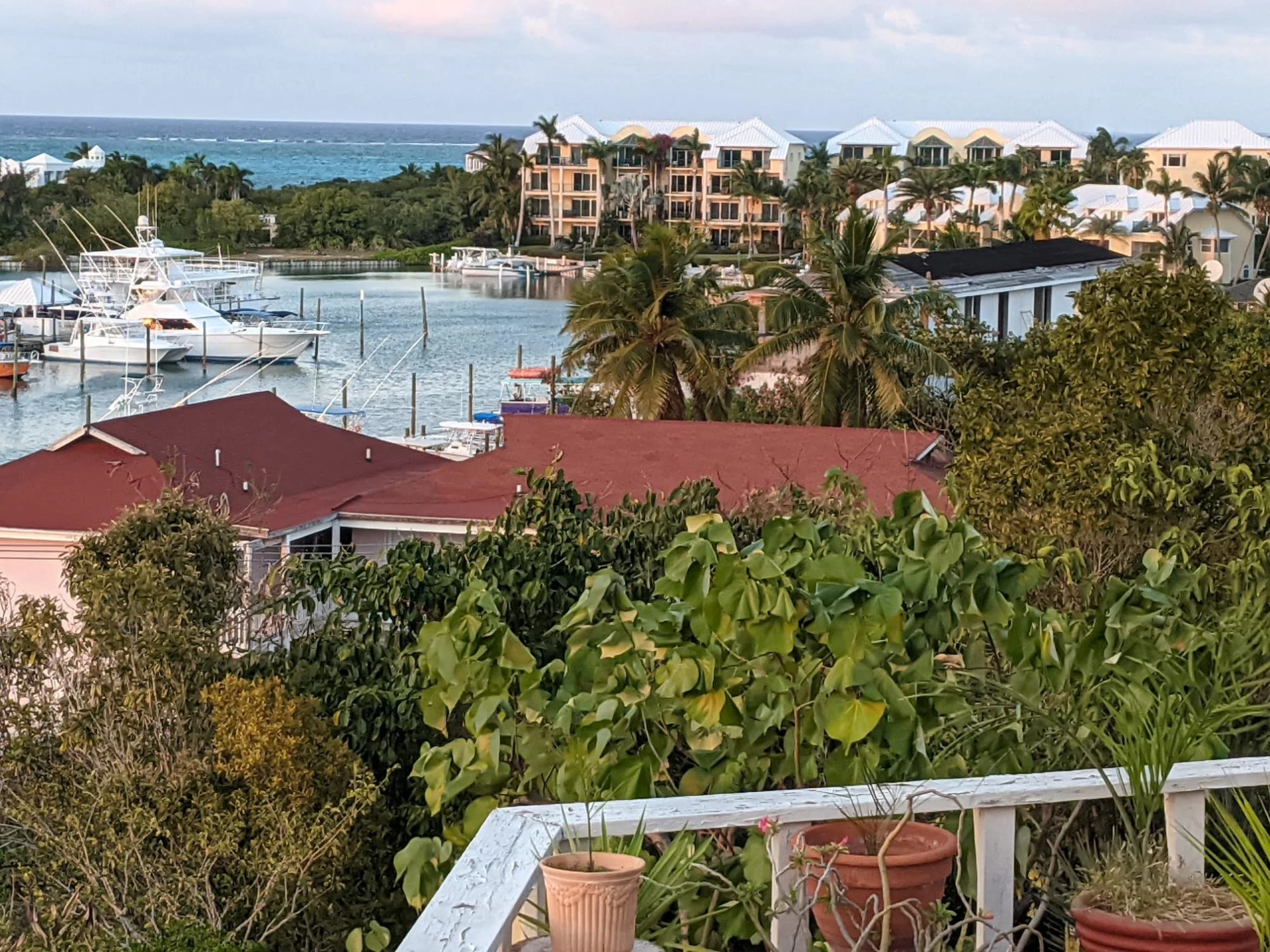 B304 Queen Angel - Gallery image 37