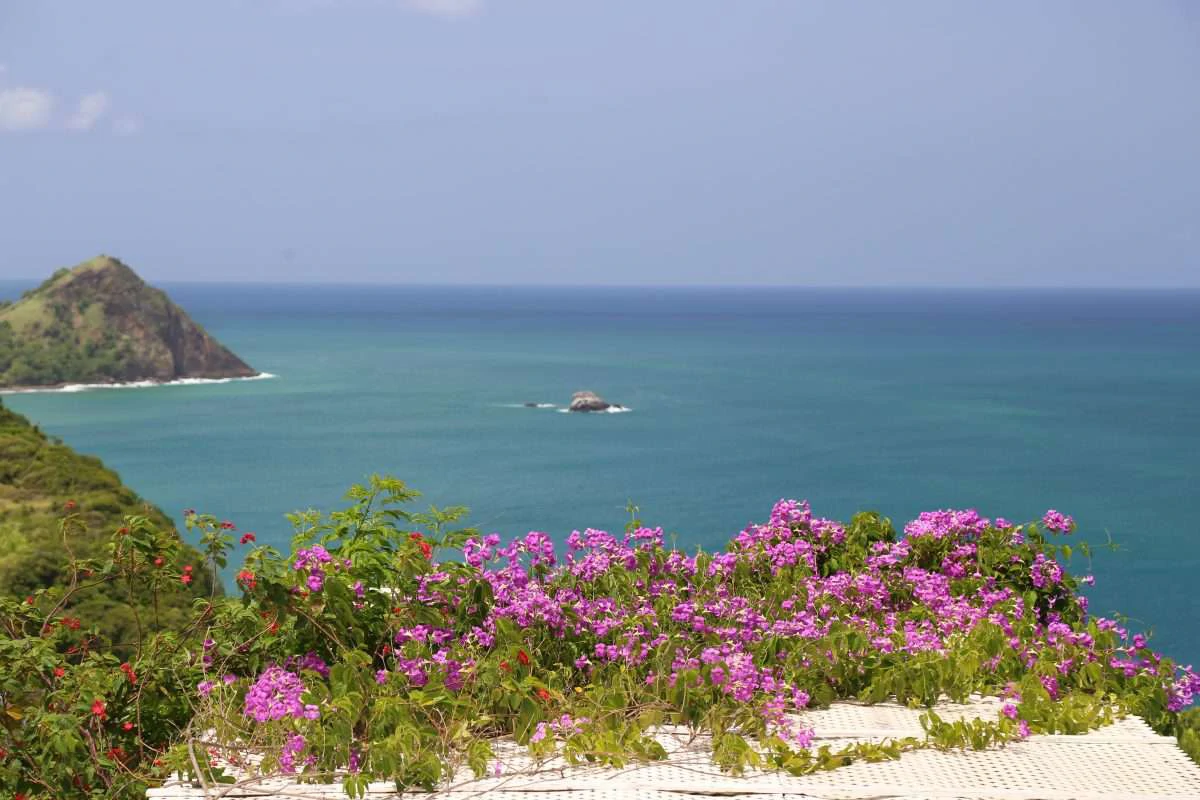 16 Saddleback, Cap Estate. - Gallery image 2