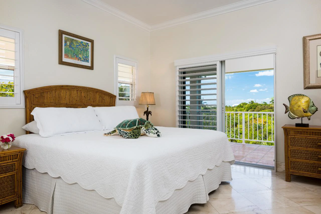 Reef Pearl - Gallery image 8