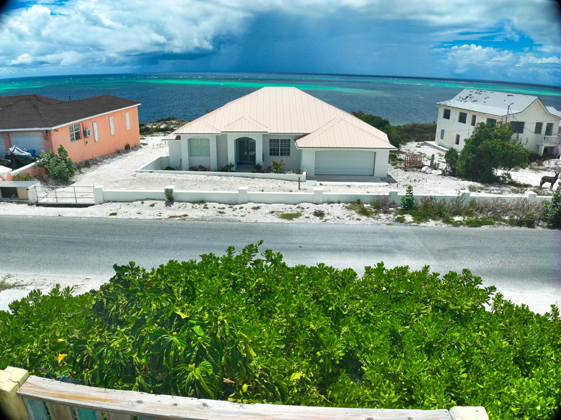 Cactus House - Gallery image 2